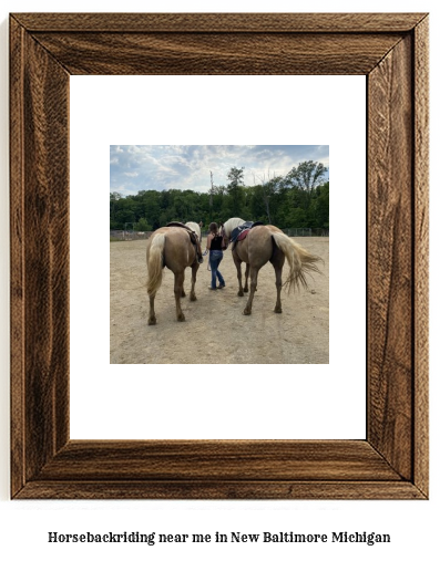 horseback riding near me in New Baltimore, Michigan